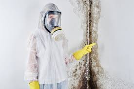 Professional Mold Inspection in Nashville, IN